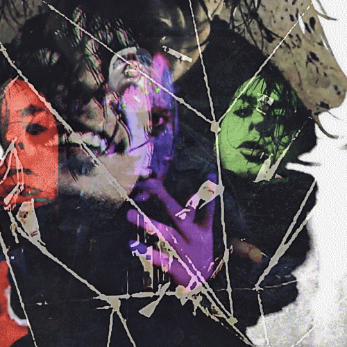 Defiler (USA-2) : Trauma Harness